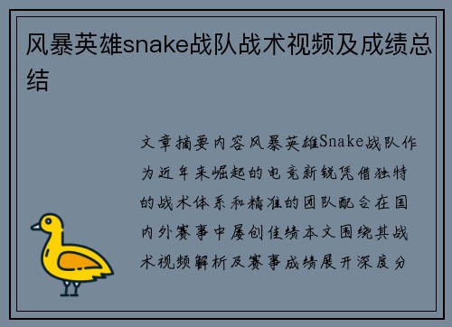 风暴英雄snake战队战术视频及成绩总结